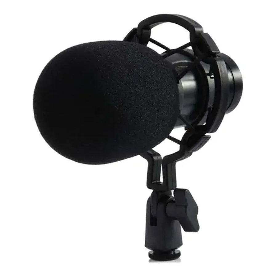 Condenser Microphone Podcast Studio Professional Recording